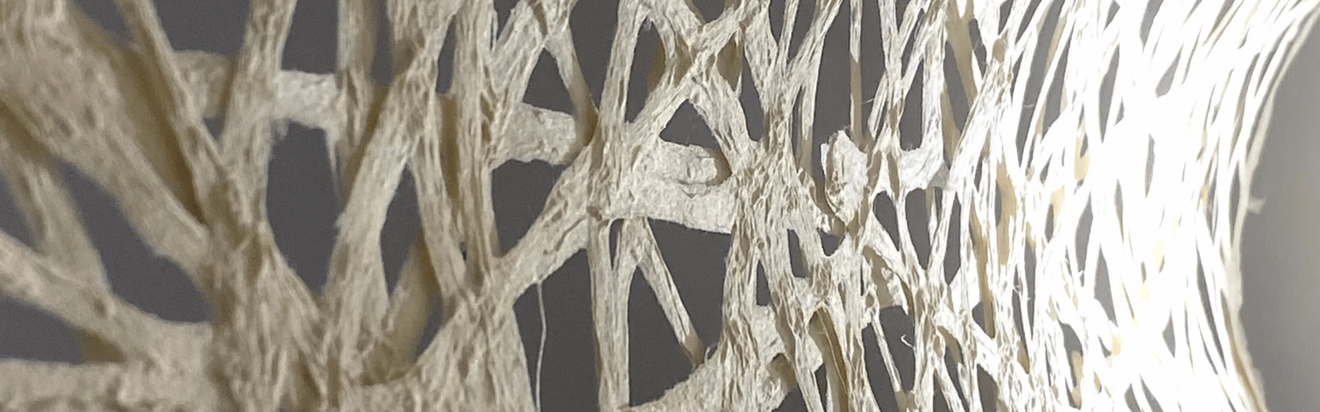 C & J Speciality Papers Phil. Inc.